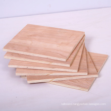 Raw/Plain Plywood for Furniture with Good Quality and Low Prices